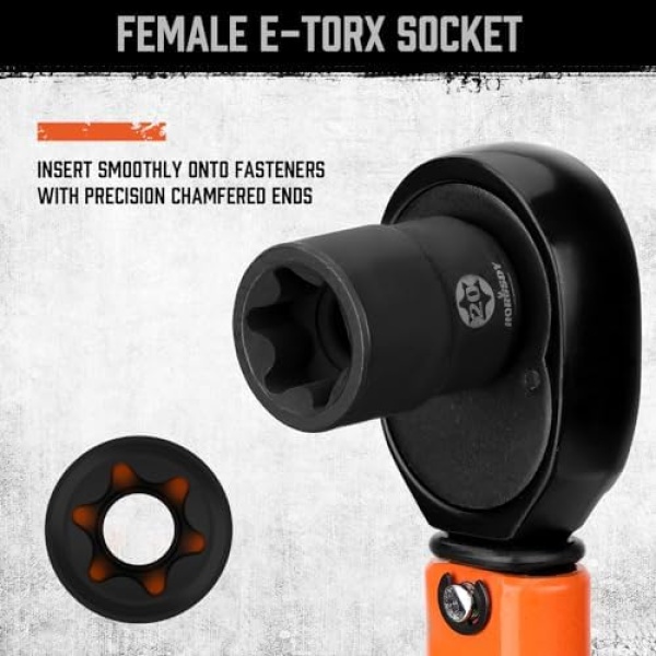 HORUSDY 31-Piece Torx Bit Socket and Female External Socket Set | 14 Star Bits - Image 6